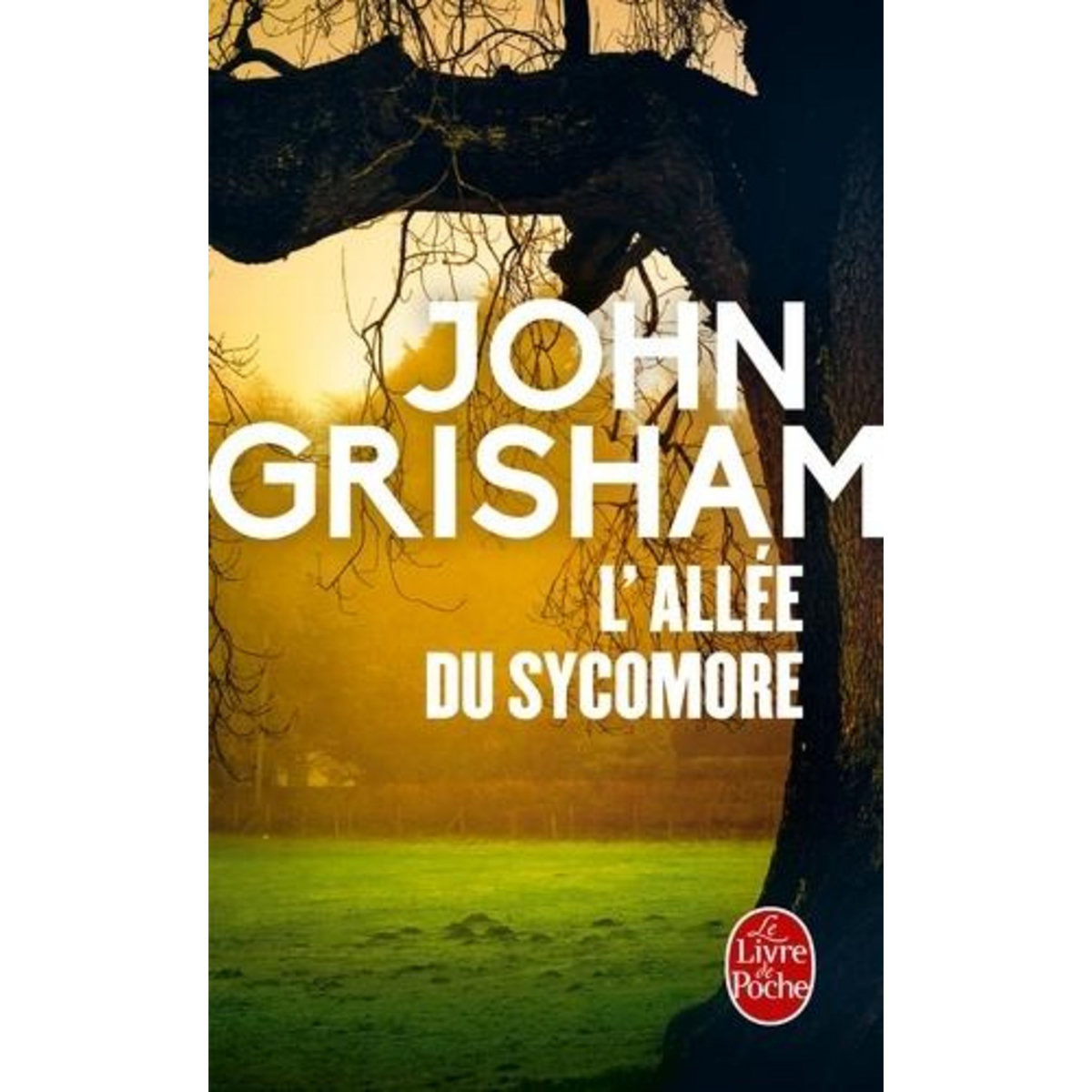 L'ALLEE DU SYCOMORE, Grisham John