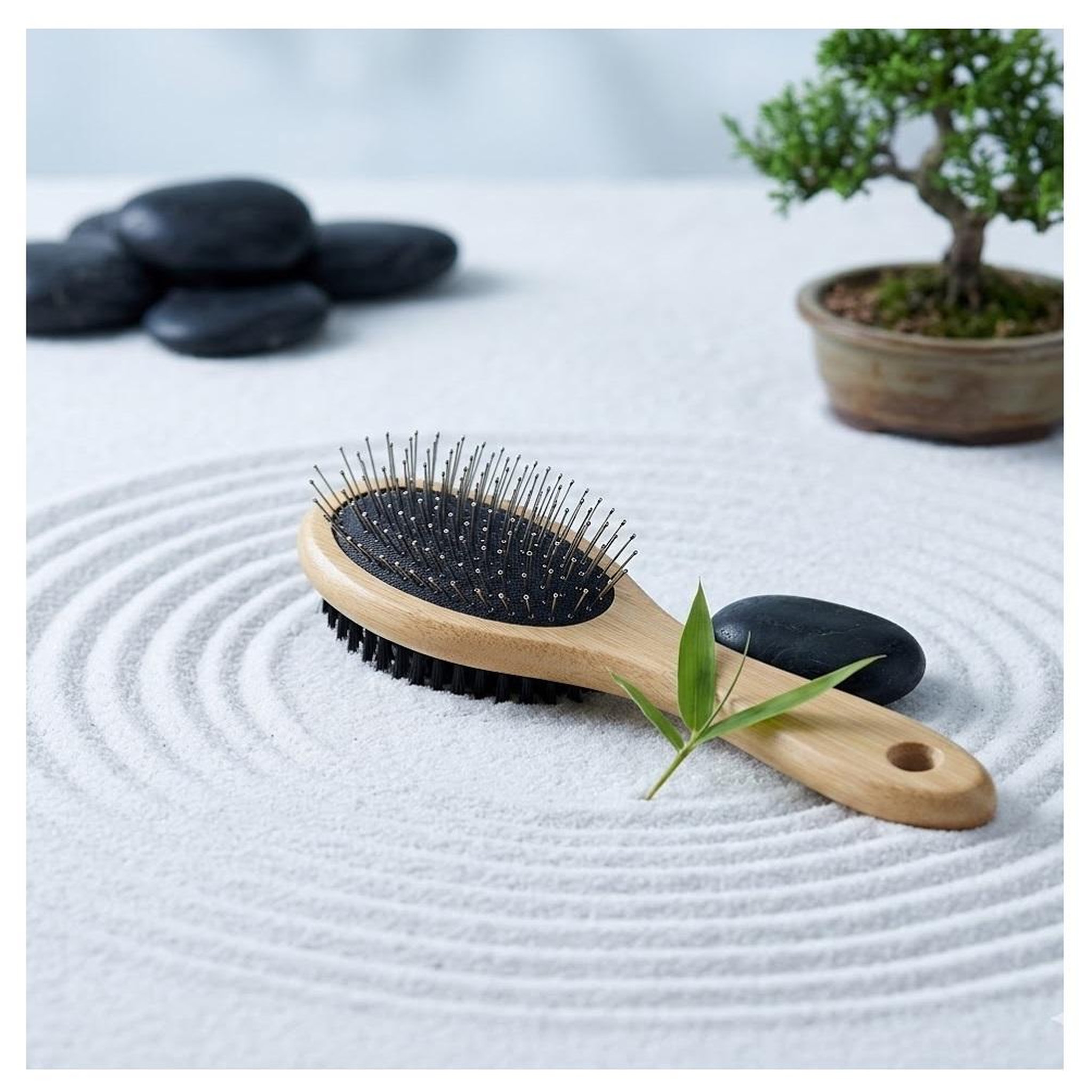 Voir la diapositive 5 : Eden Brosse a poils et picots babu en bambou pour chat