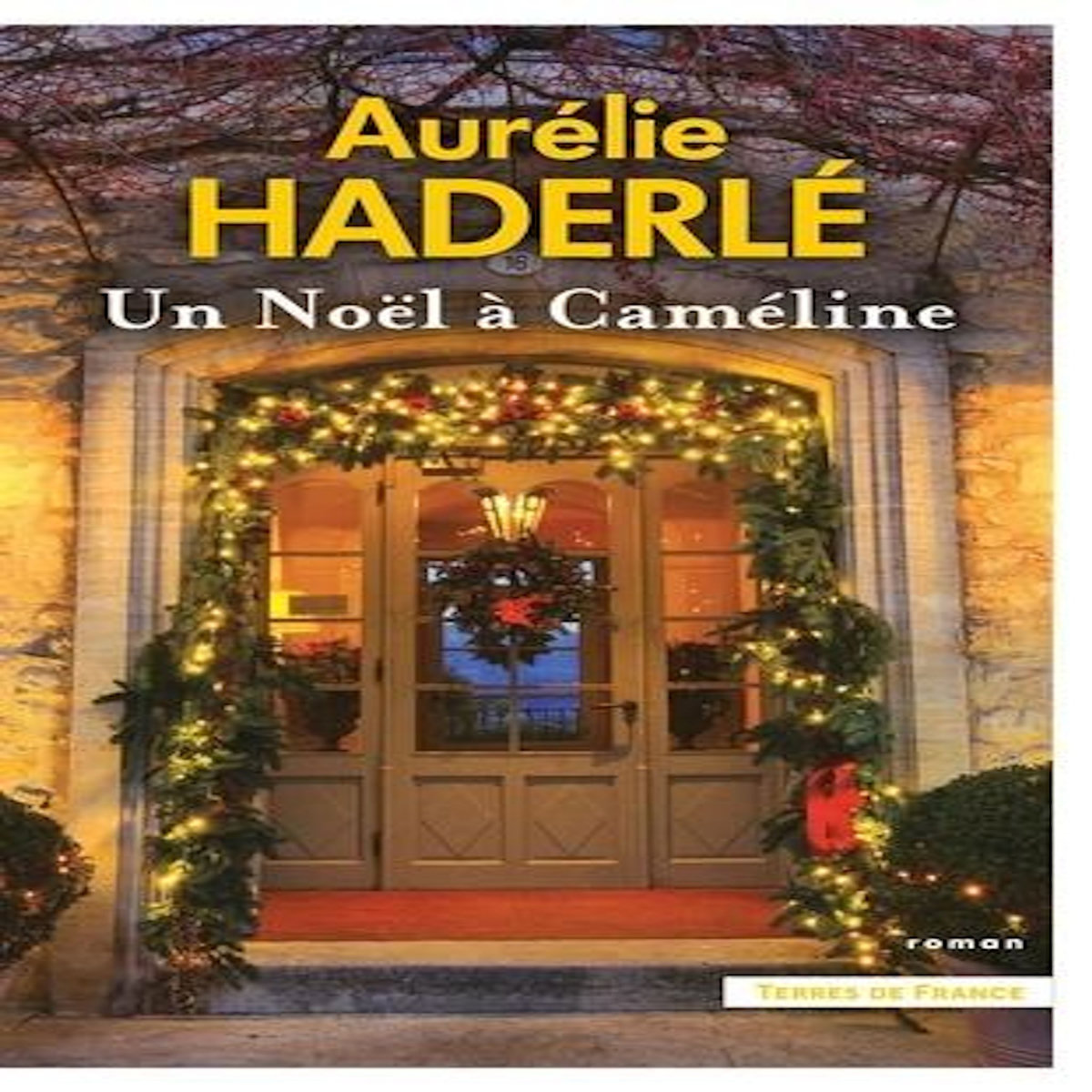 UN NOEL A CAMELINE, Haderlé Aurélie