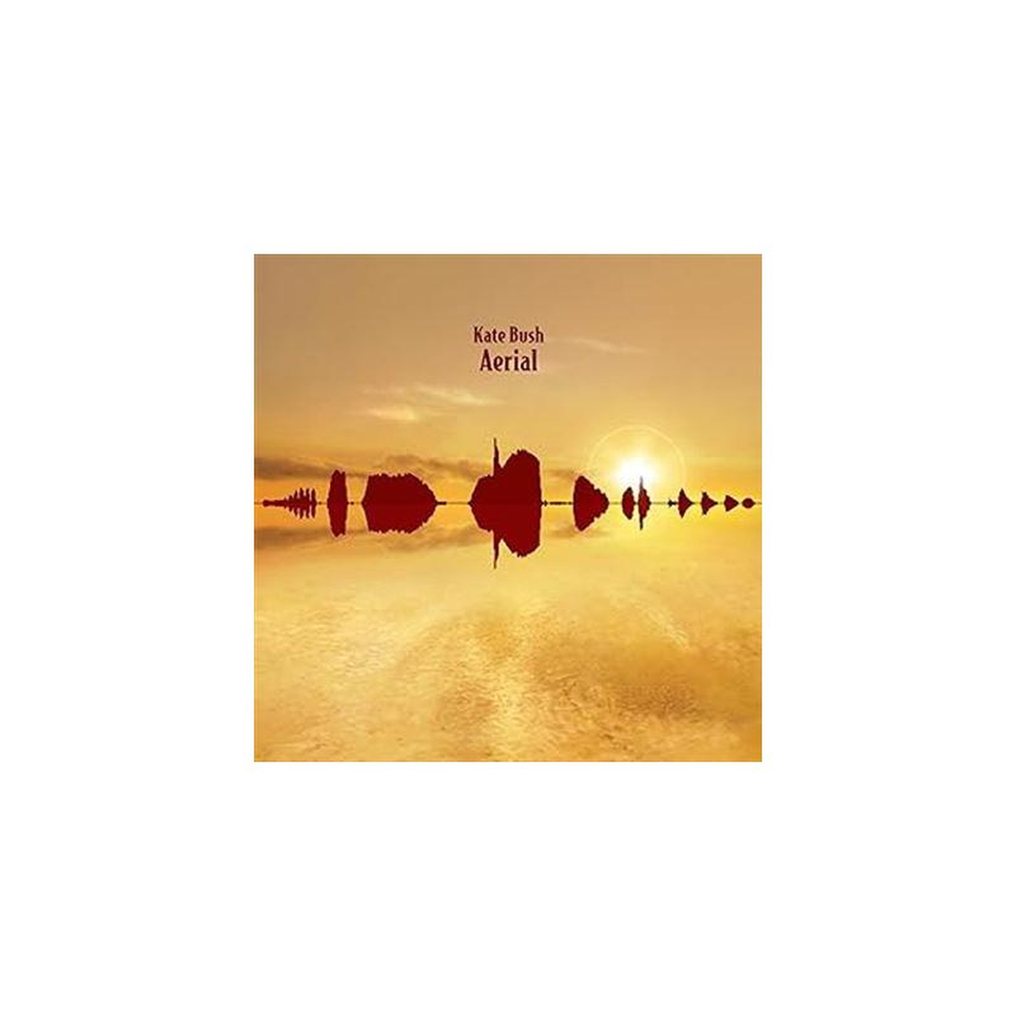 Vinyle 2 lp kate bush aerial remasterisé, 180 g, fish people, art rock et progressive pop