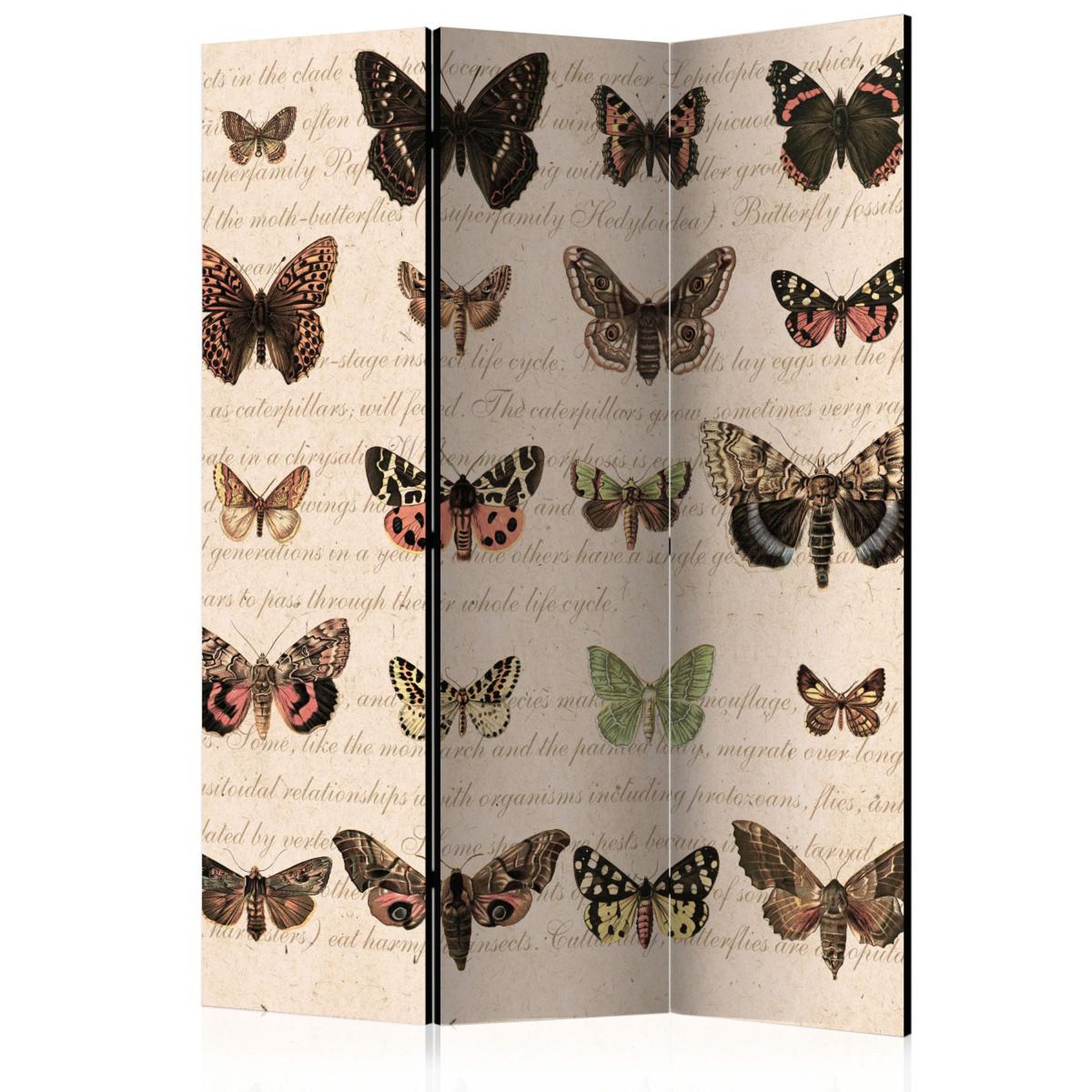 Paris Prix Paravent 3 volets  retro style : butterflies  135x172cm