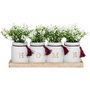 Voir la diapositive 2 : ATMOSPHERA Lot de 4 Plantes Artificielles Déco  Gypsy  28cm Vert
