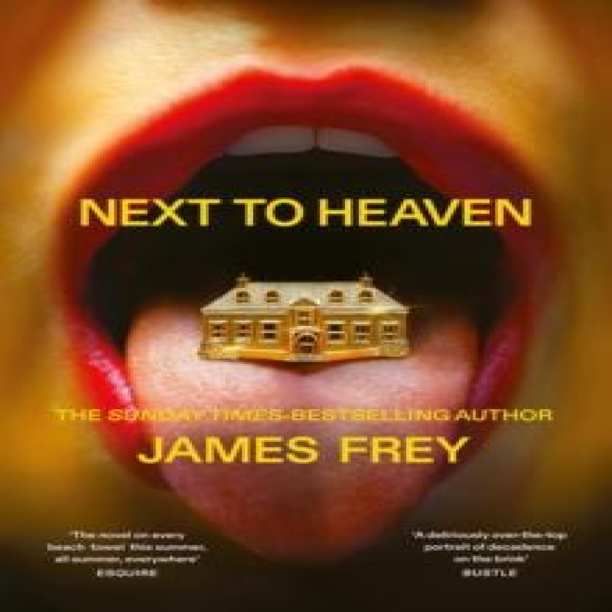 LIVRES Next to Heaven: The PROVOCATIVE new novel from BESTSELLING author of A Million Little Pieces