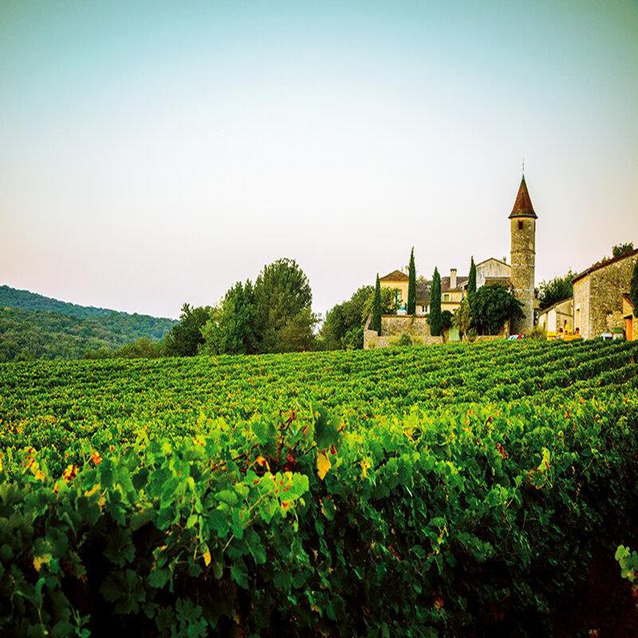 Voir la diapositive 4 : Smartbox Dégustation passionnante de 11 vins biologiques du domaine de sauzet au sud de montpellier - coffret cadeau gastronomie