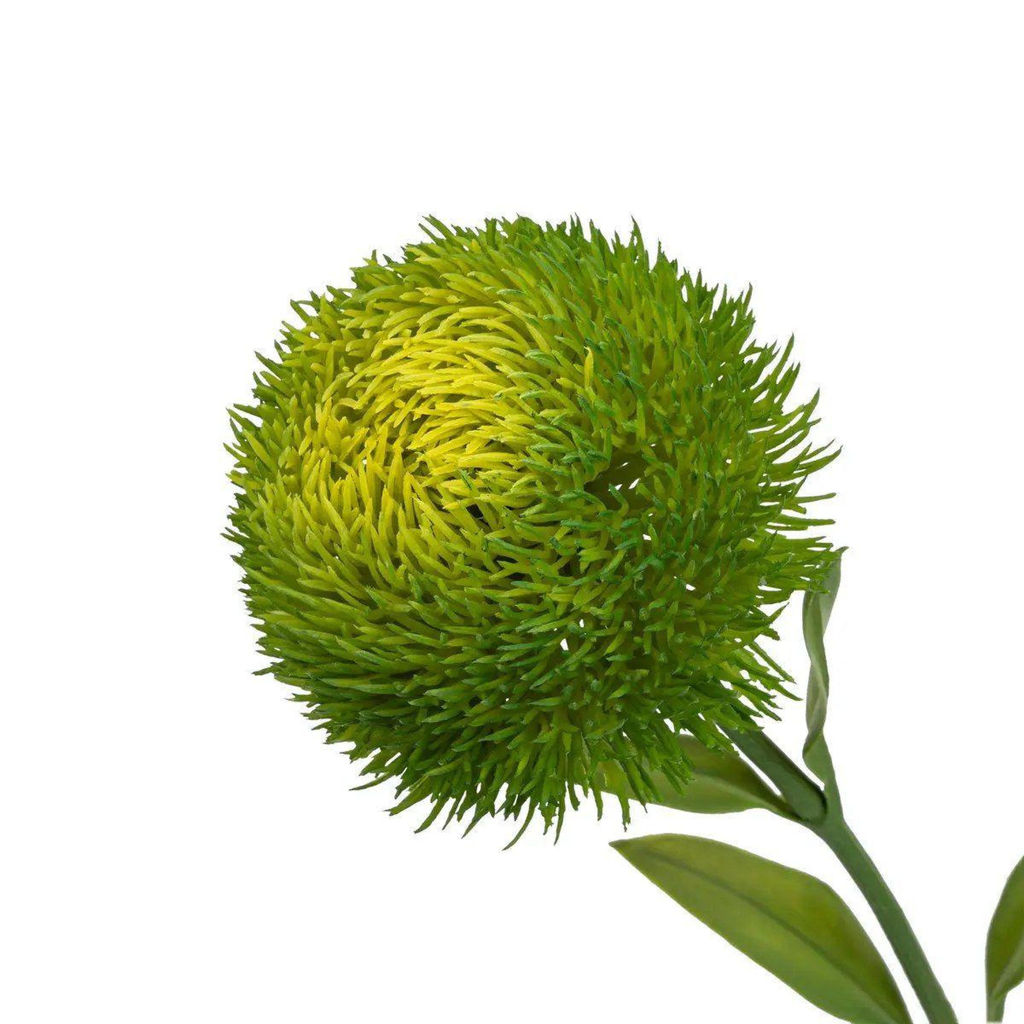 Voir la diapositive 2 : ATMOSPHERA Tige Artificielle  Dianthus  50cm Vert
