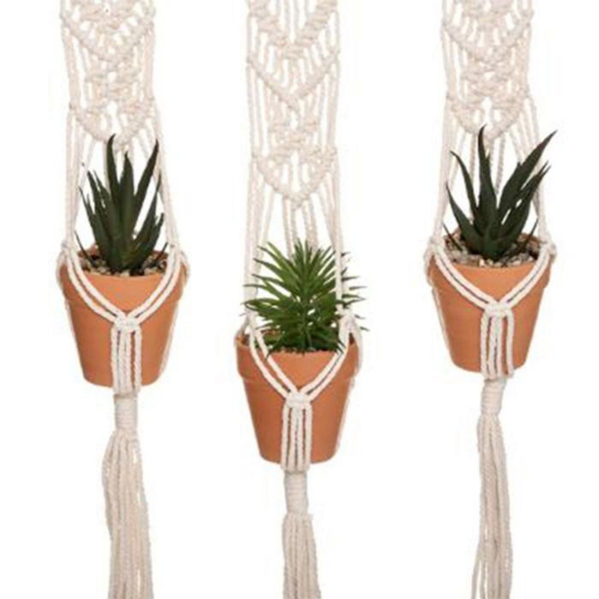 ATMOSPHERA Lot de 3 Plantes Suspendues  Hacienda  68cm Ivoire