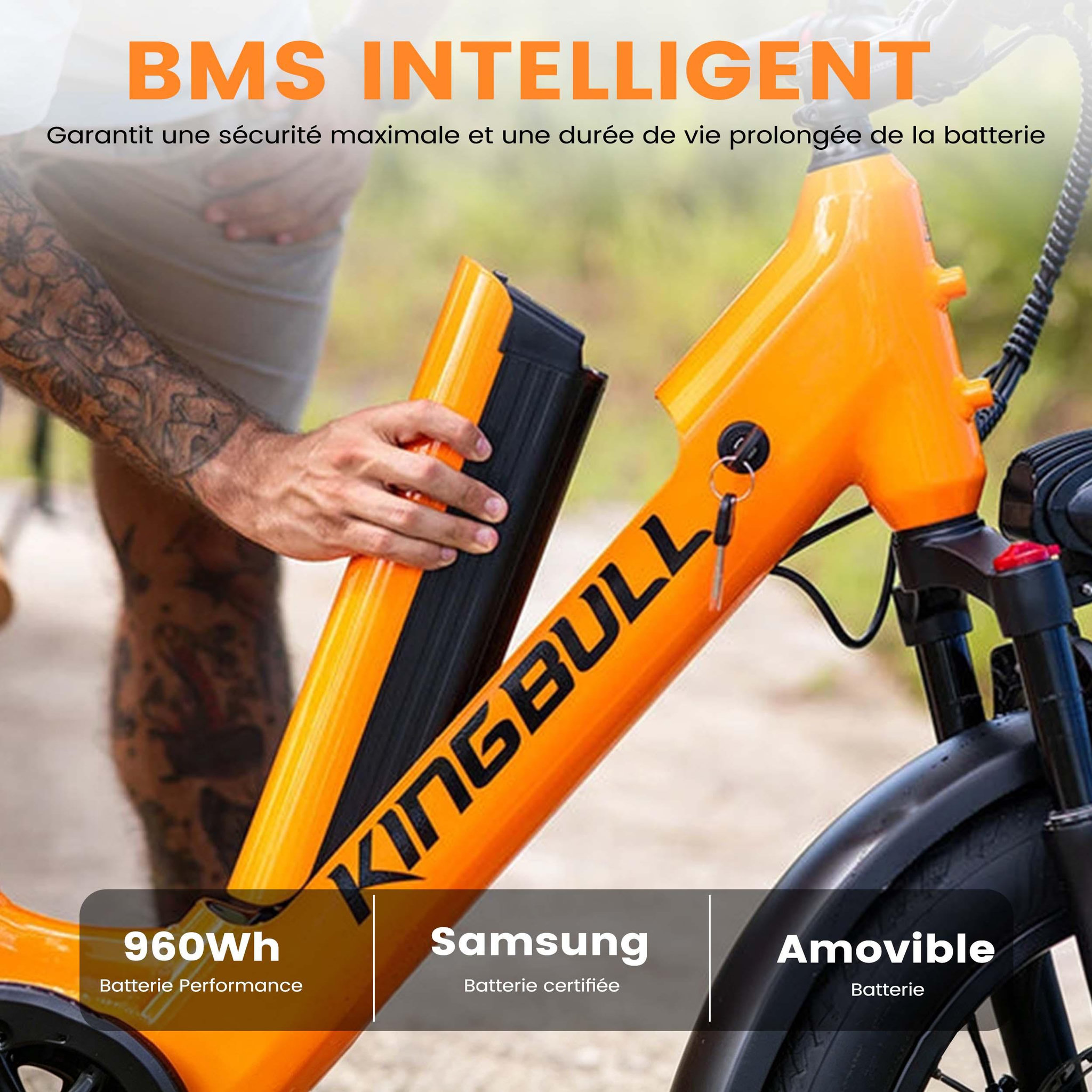 Voir la diapositive 4 : KINGBULL Vélo cargo électrique kingbull voyager 2.0