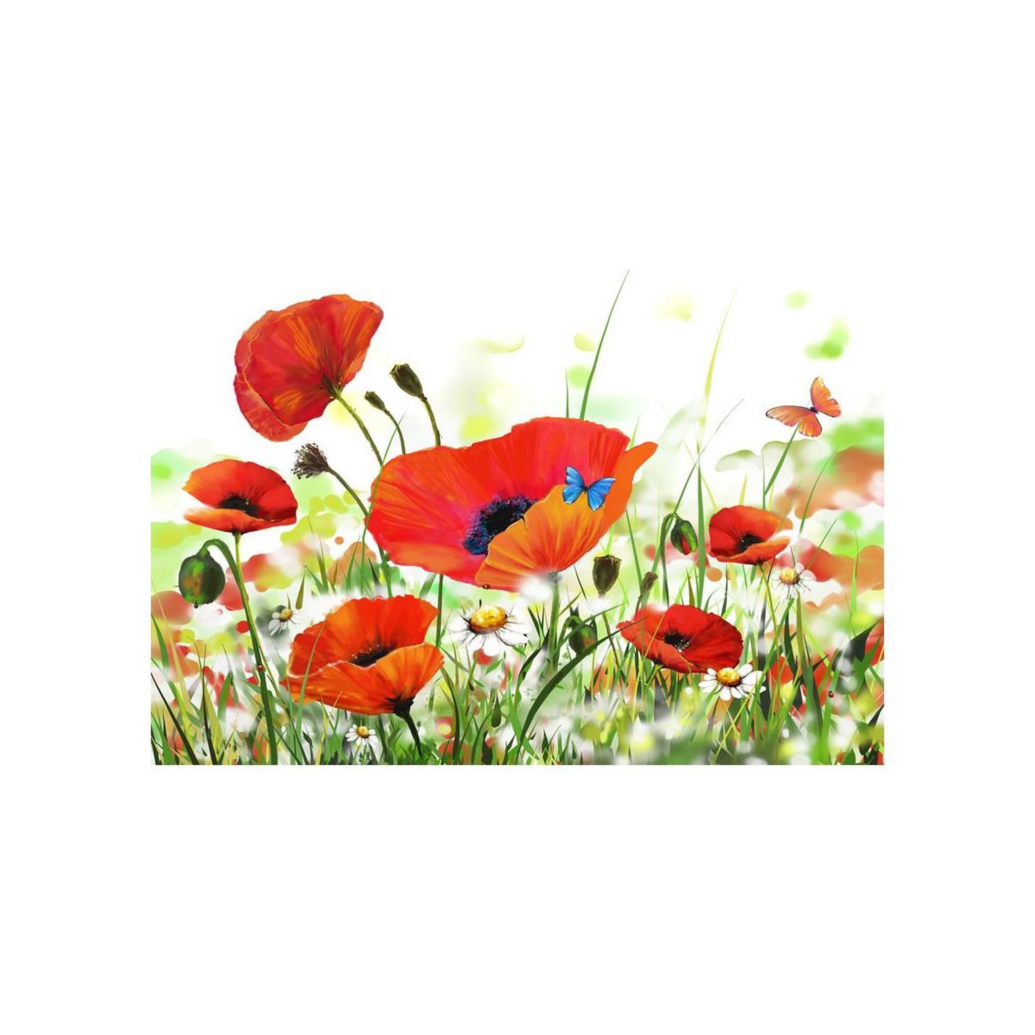 Voir la diapositive 2 : Paris Prix Papier peint  country poppies ii  400x270cm