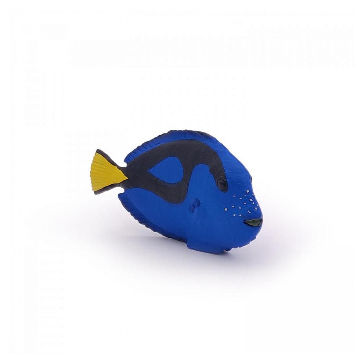Papo 56024 Figurine Poisson chirurgien