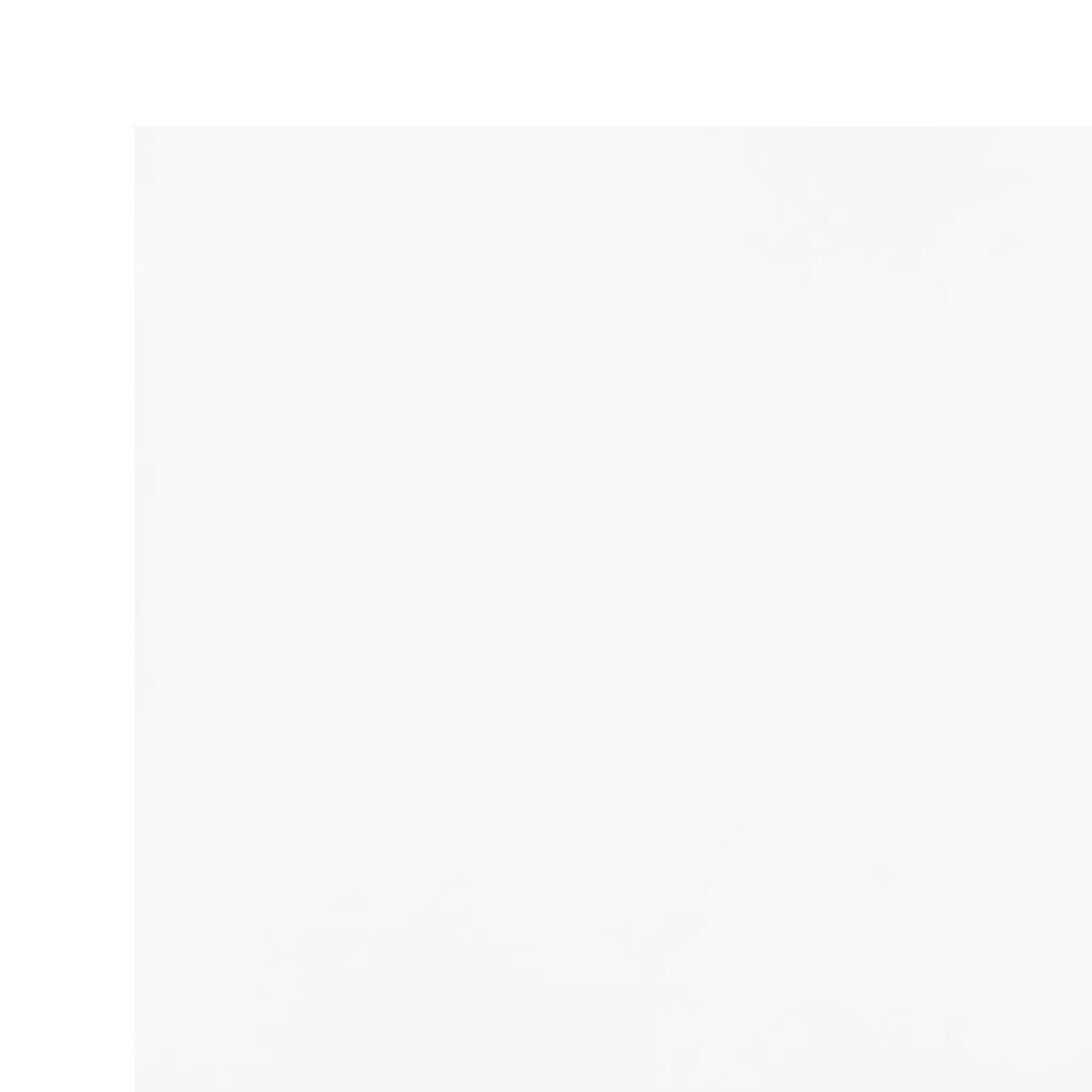 VIDAXL Bache blanc 4x8 m 650 g/m²