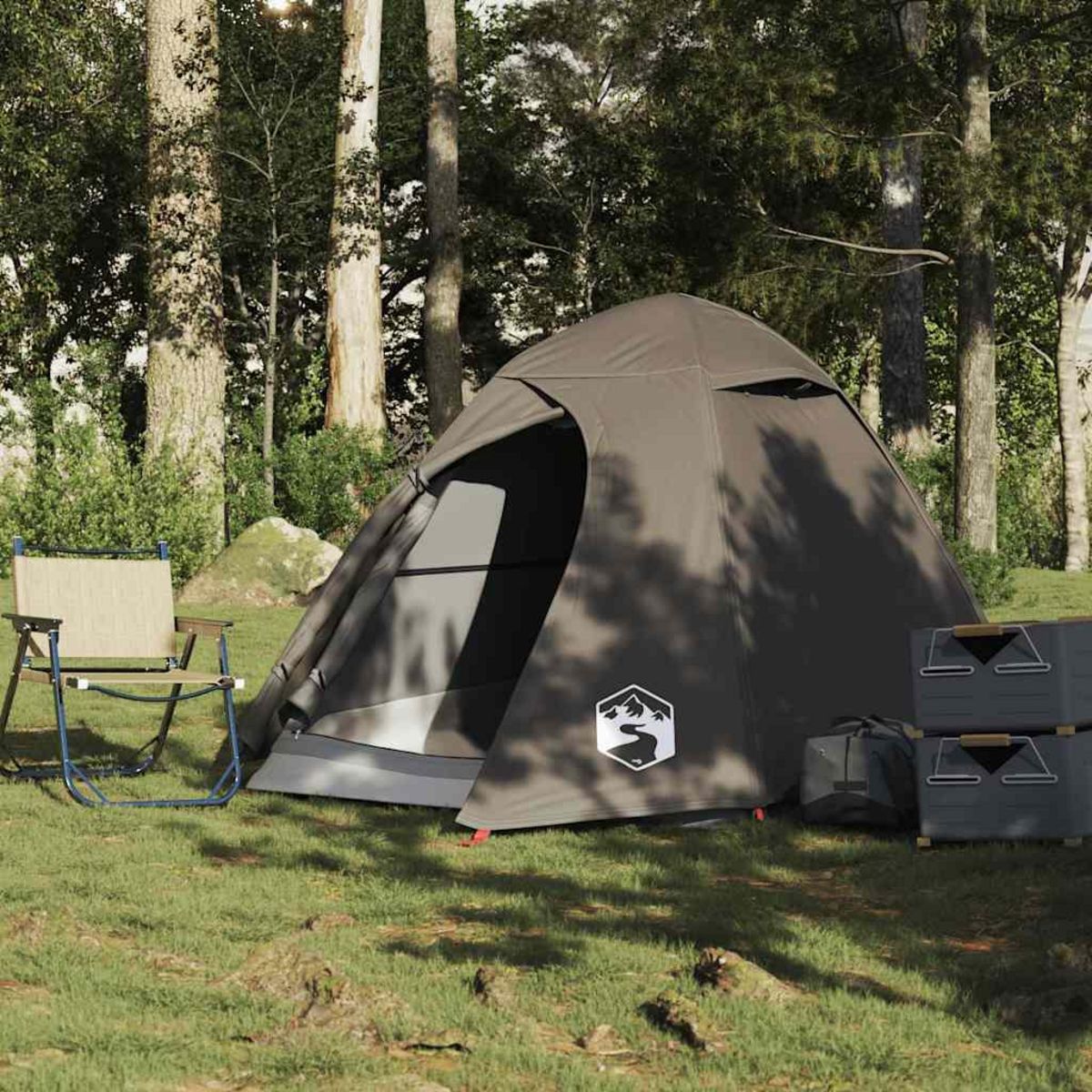 VIDAXL Tente de camping a dome 2 personne marron impermeable