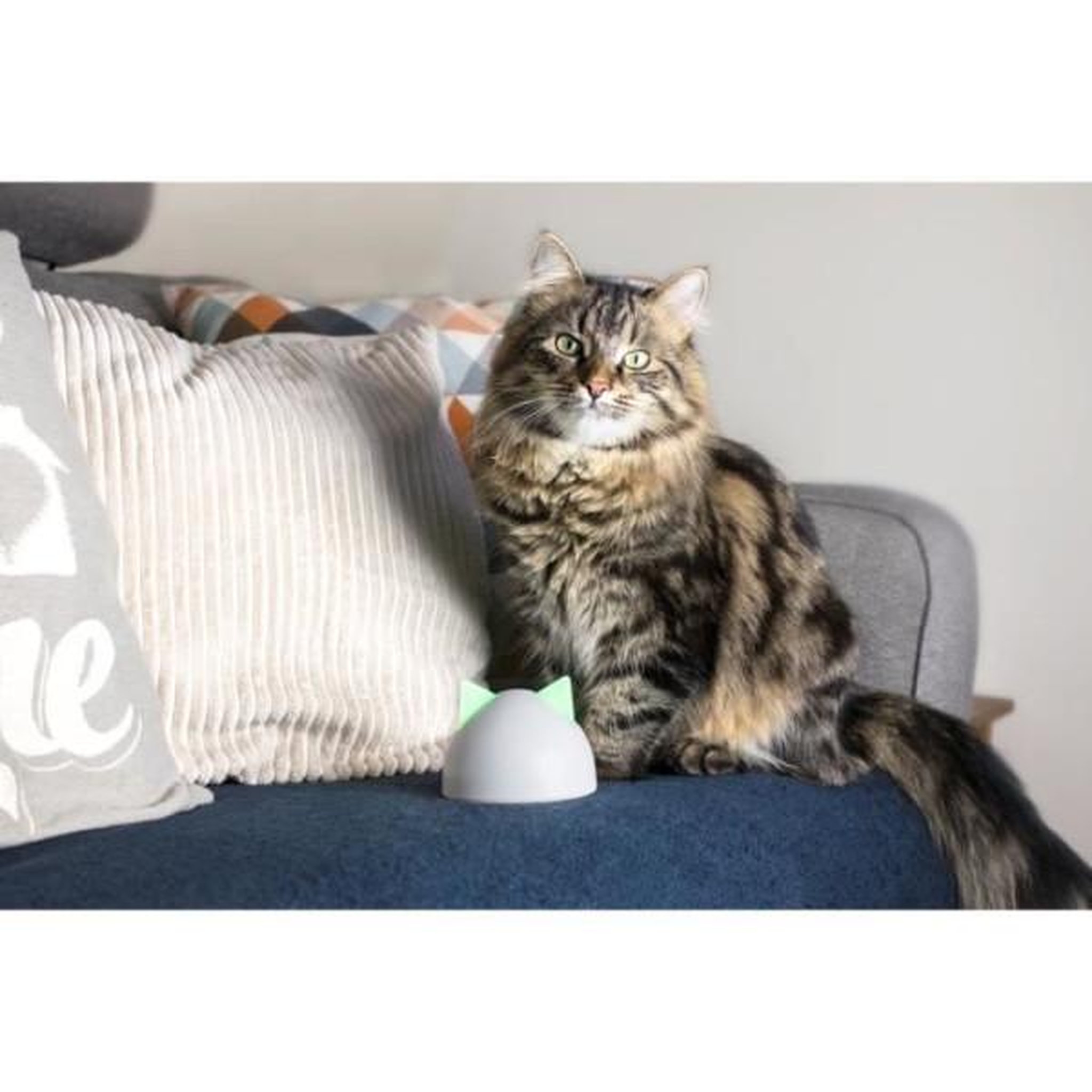 Voir la diapositive 4 : N/A Sure petcare hub - blanc - compatible avec les produits connect sure petcare (mémorisation d'un maximum de 10 produits connect)