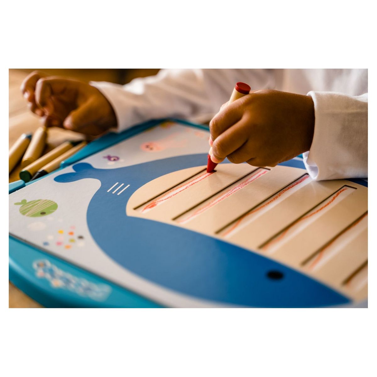 DUJARDIN Dessinéo Mes premiers dessins