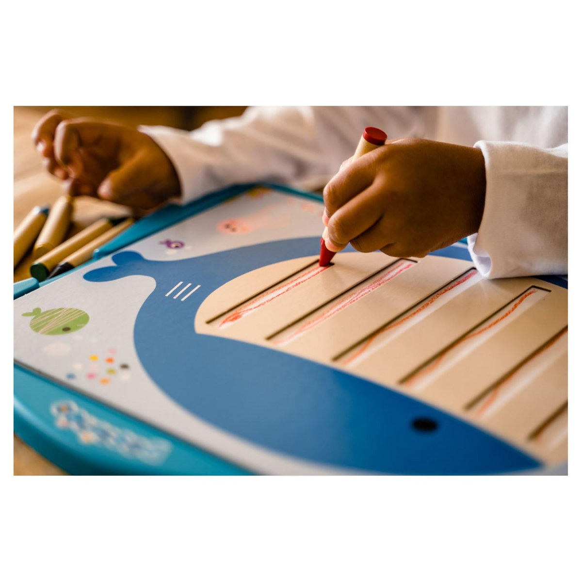 DUJARDIN Dessinéo Mes premiers dessins