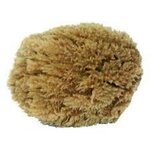 OUTIFRANCE Eponge végétale naturelle 15 cm