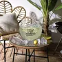 Paris Prix Saladier Cocktail & Louche  Fait Maison  6L Transparent