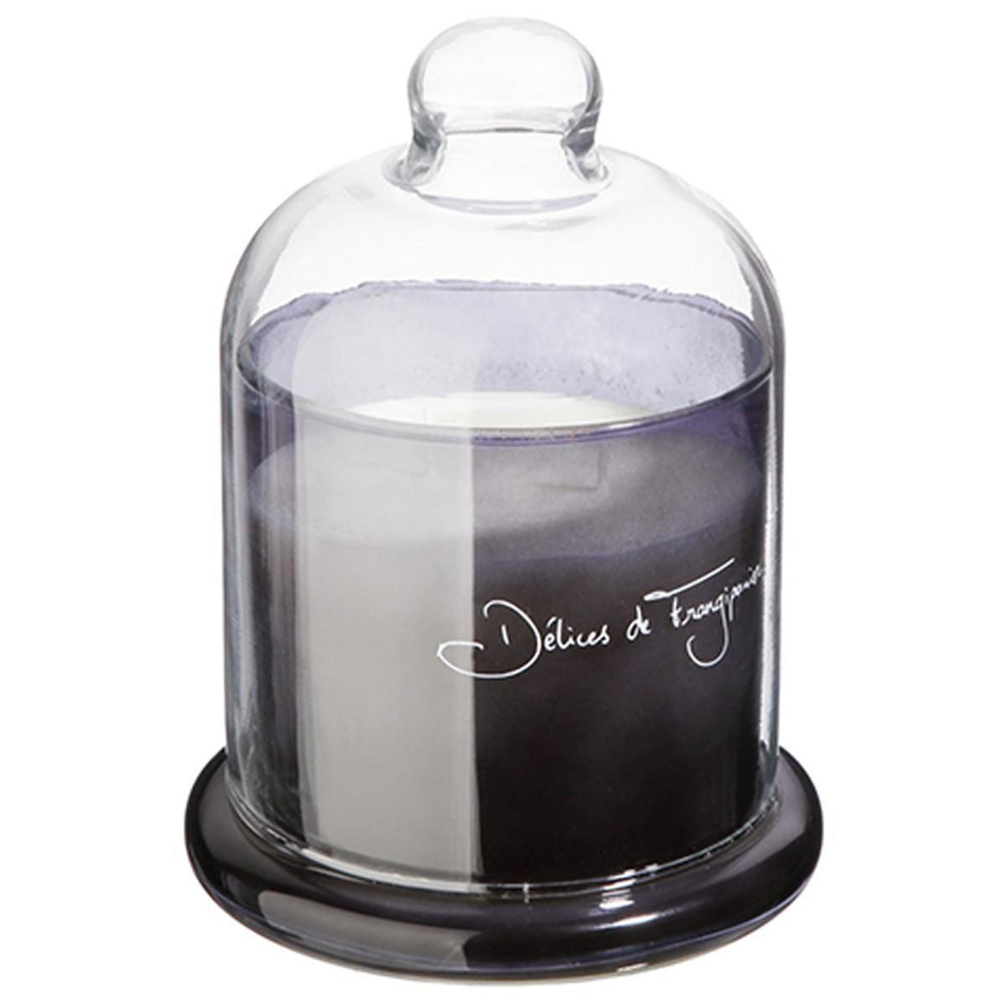COMPTOIR DE LA BOUGIE Bougie parfumée sous cloche  loyd  650g délices frangipanier