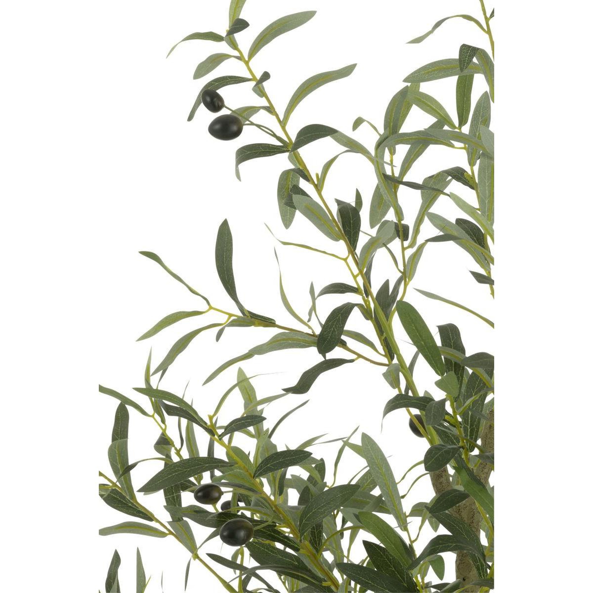 Voir la diapositive 2 : J-LINE Plante artificielle en pot  olivier  180cm vert