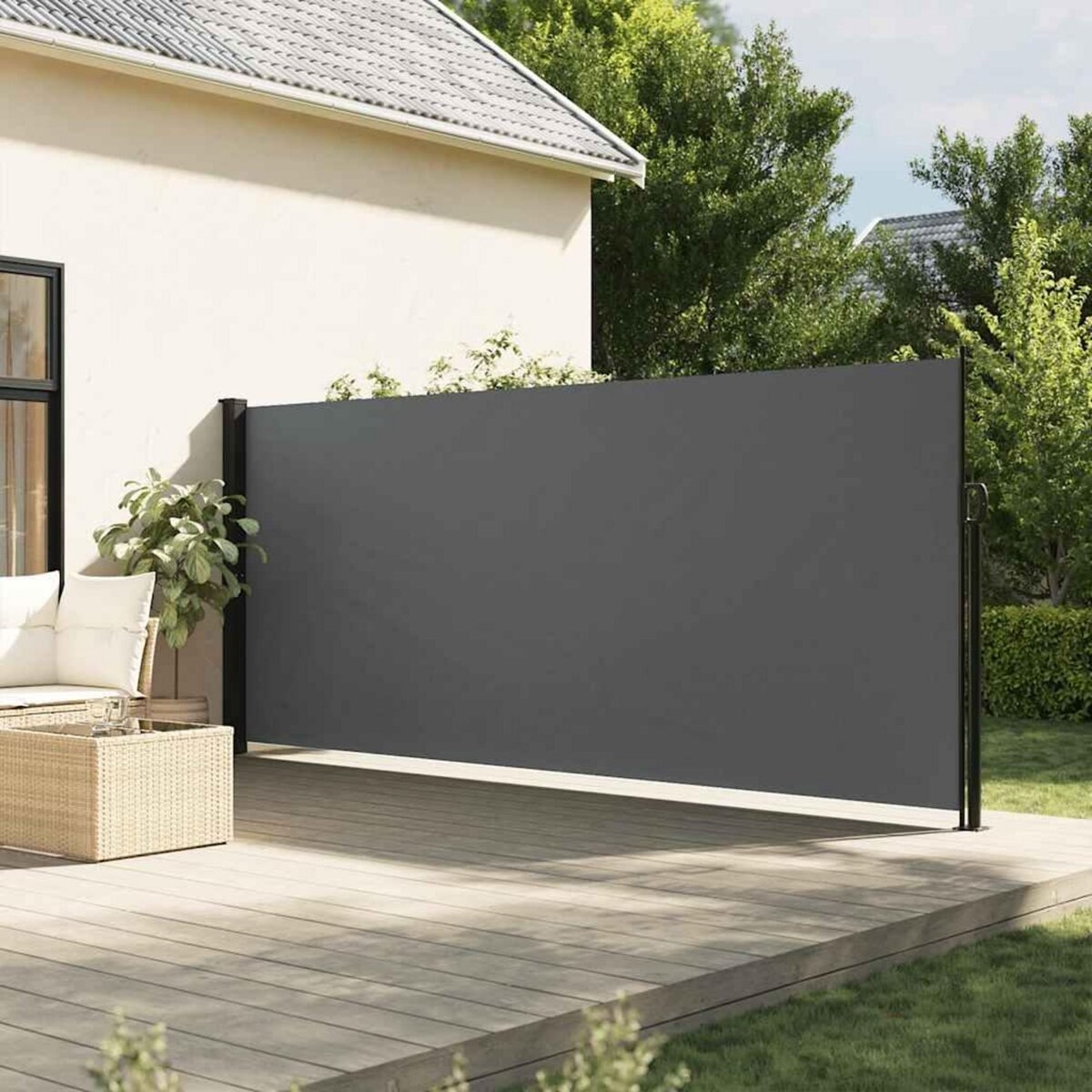 VIDAXL Auvent lateral retractable anthracite 160x300 cm