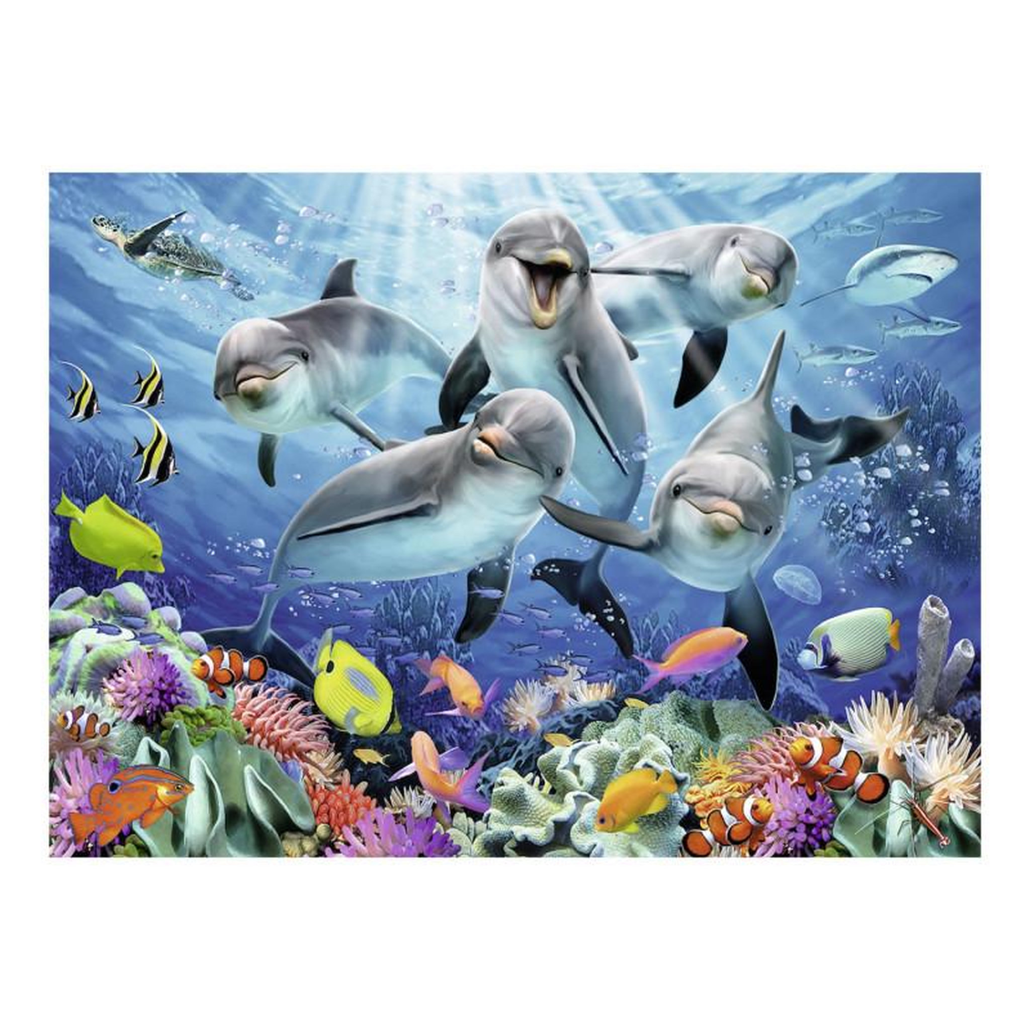 Voir la diapositive 2 : RAVENSBURGER Puzzle 500 pièces dauphins sur le récif de corail