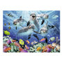 Voir la diapositive 2 : RAVENSBURGER RAVENSBURGER Dolphins in the coral reef, 500st.