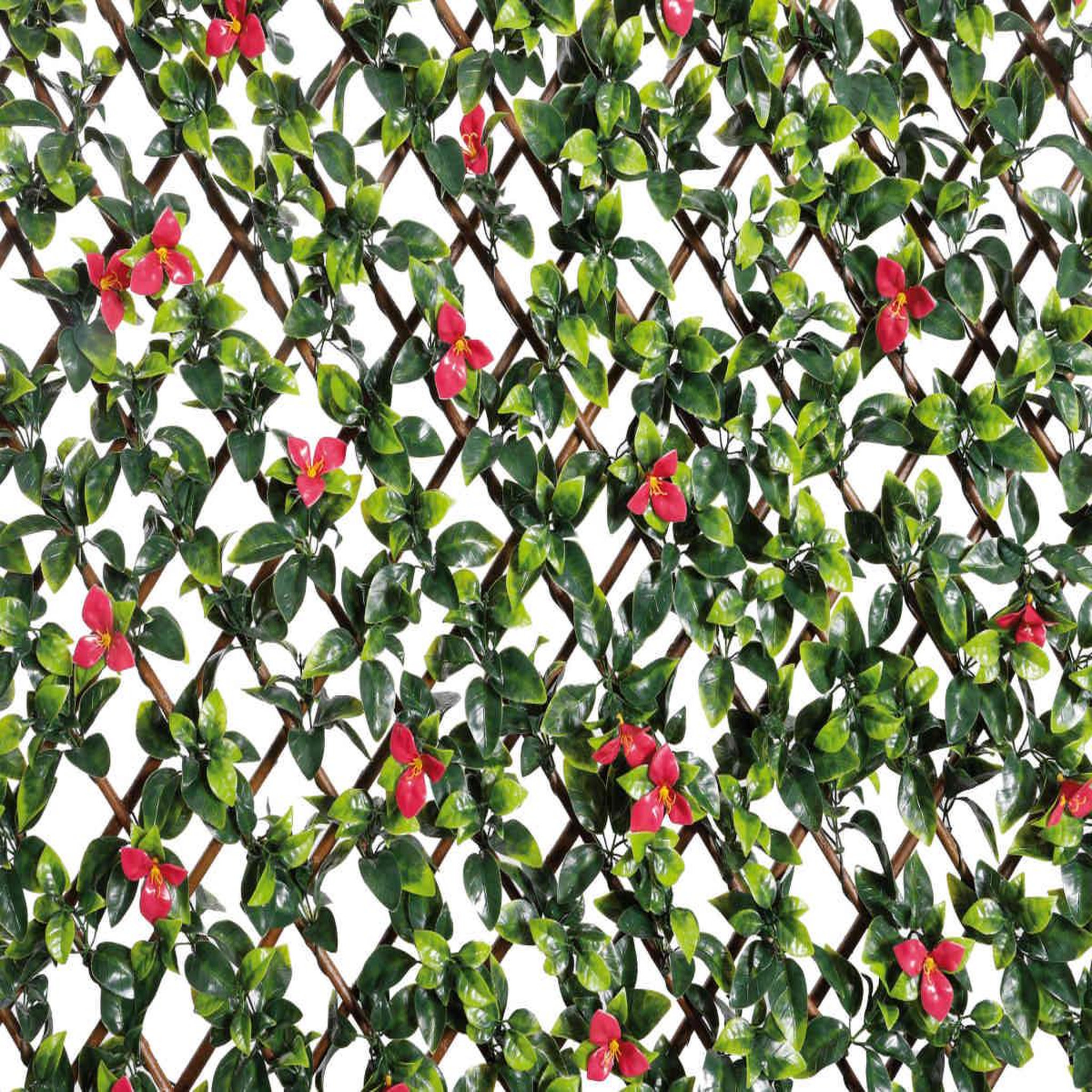 Voir la diapositive 4 : NATURE Treillis extensible en osier avec feuillage - bougainvilliers - 100 x 200 cm - nature
