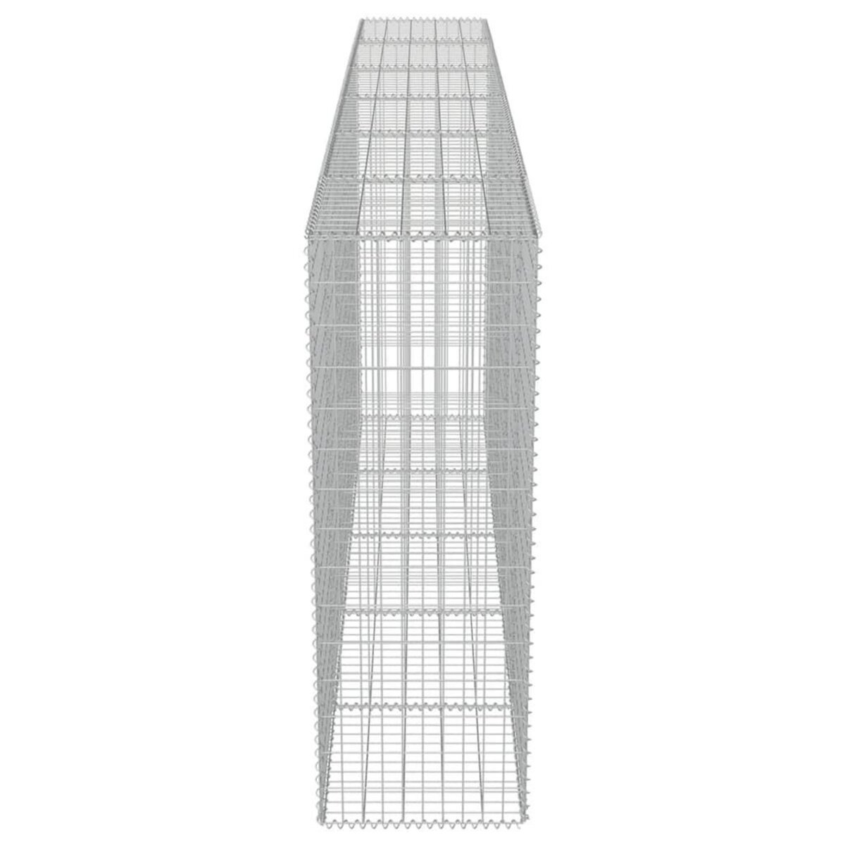 VIDAXL Mur en gabion avec couvercles Acier galvanise 300 x 50 x 150 cm