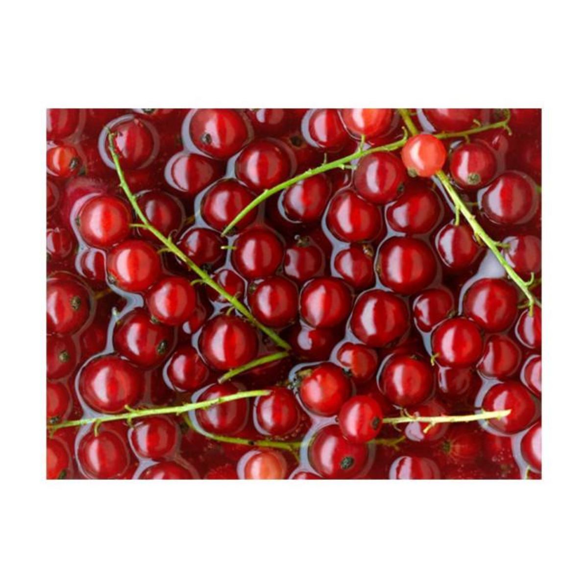 Paris Prix Papier Peint  Groseilles Rouges dans l'Eau