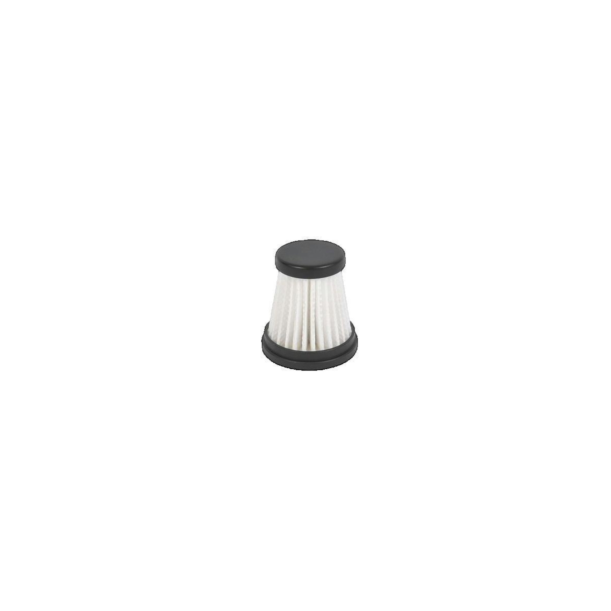 ROWENTA Filtres pour aspirateurs Rowenta ZR009009 noir et blanc