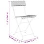Voir la diapositive 6 : VIDAXL Chaises de bistrot pliantes lot de 6 Resine tressee et acier