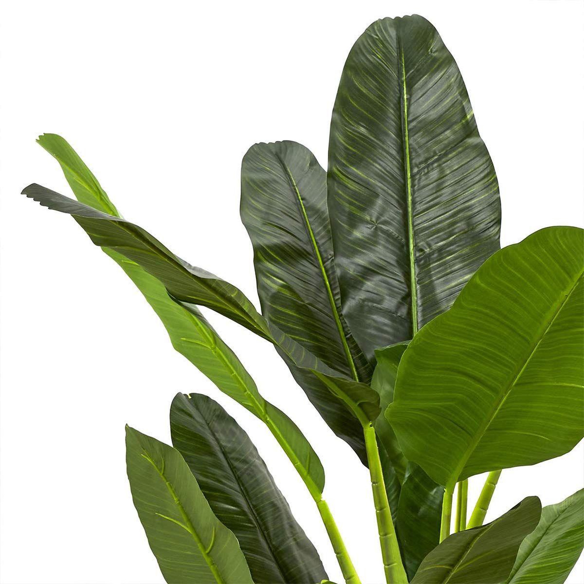 Voir la diapositive 3 : The Home Deco Factory Plante artificielle xxl  bananier  160cm vert