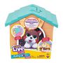 Voir la diapositive 5 : Pets Mini-monde Little Live Pets My Puppy's Home Minis coloré