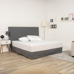 FUTURE HOME Lot de 2 protèges oreillers imperméables en jersey. Coloris disponibles : Blanc