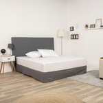 FUTURE HOME Lot de 2 protèges oreillers imperméables en jersey. Coloris disponibles : Blanc