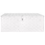 Voir la diapositive 2 : VIDAXL Boîte de rangement Argente 100x55x37 cm Aluminium