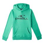 O'NEILL Sweat  Garçon O'Neill N4750004. Coloris disponibles : Vert