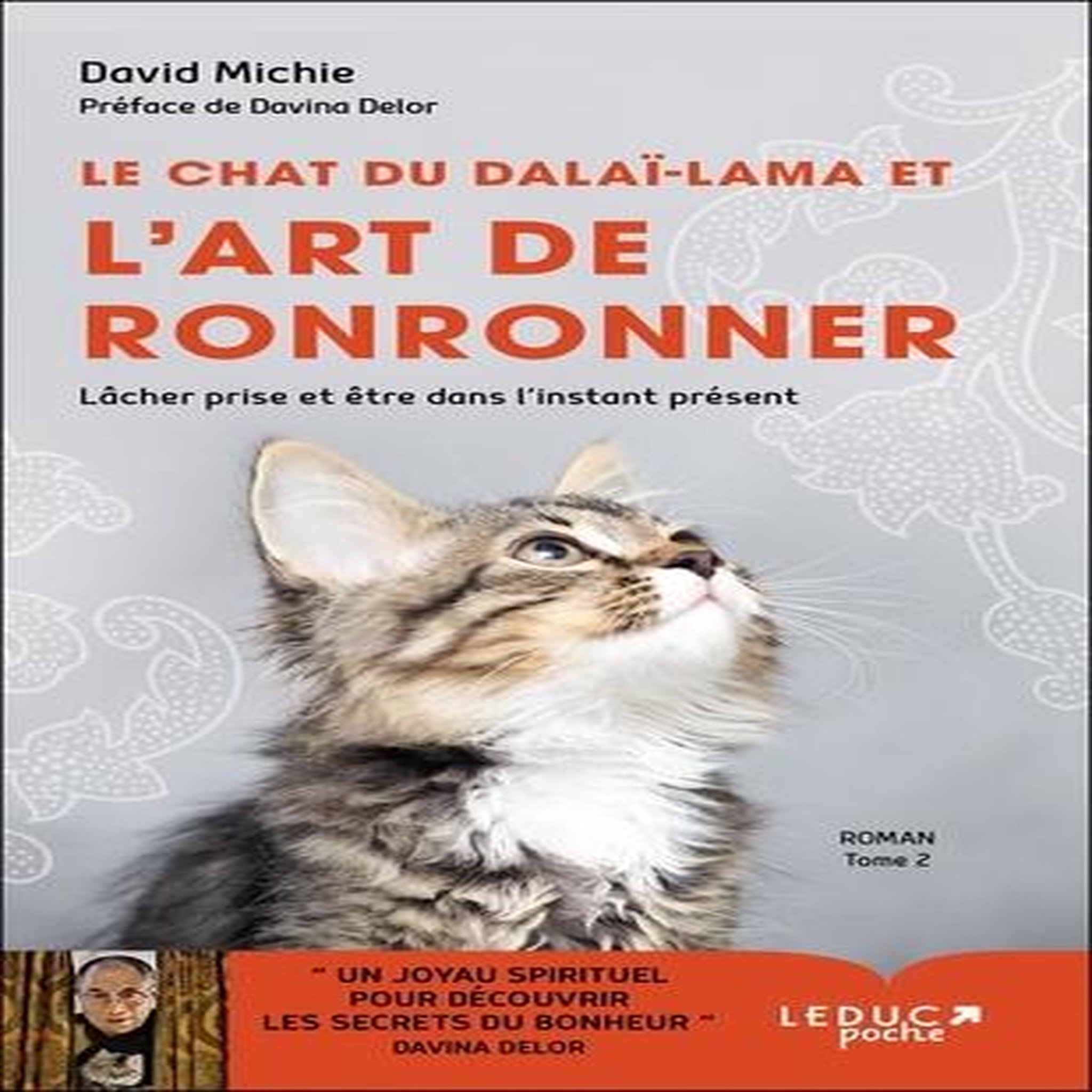 LE CHAT DU DALAI-LAMA TOME 2 : LE CHAT DU DALAI-LAMA ET L'ART DE RONRONNER, Michie David