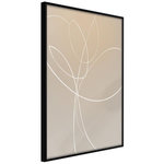 Paris Prix Affiche Murale Encadrée  White Tulip. Coloris disponibles : Jaune, Noir