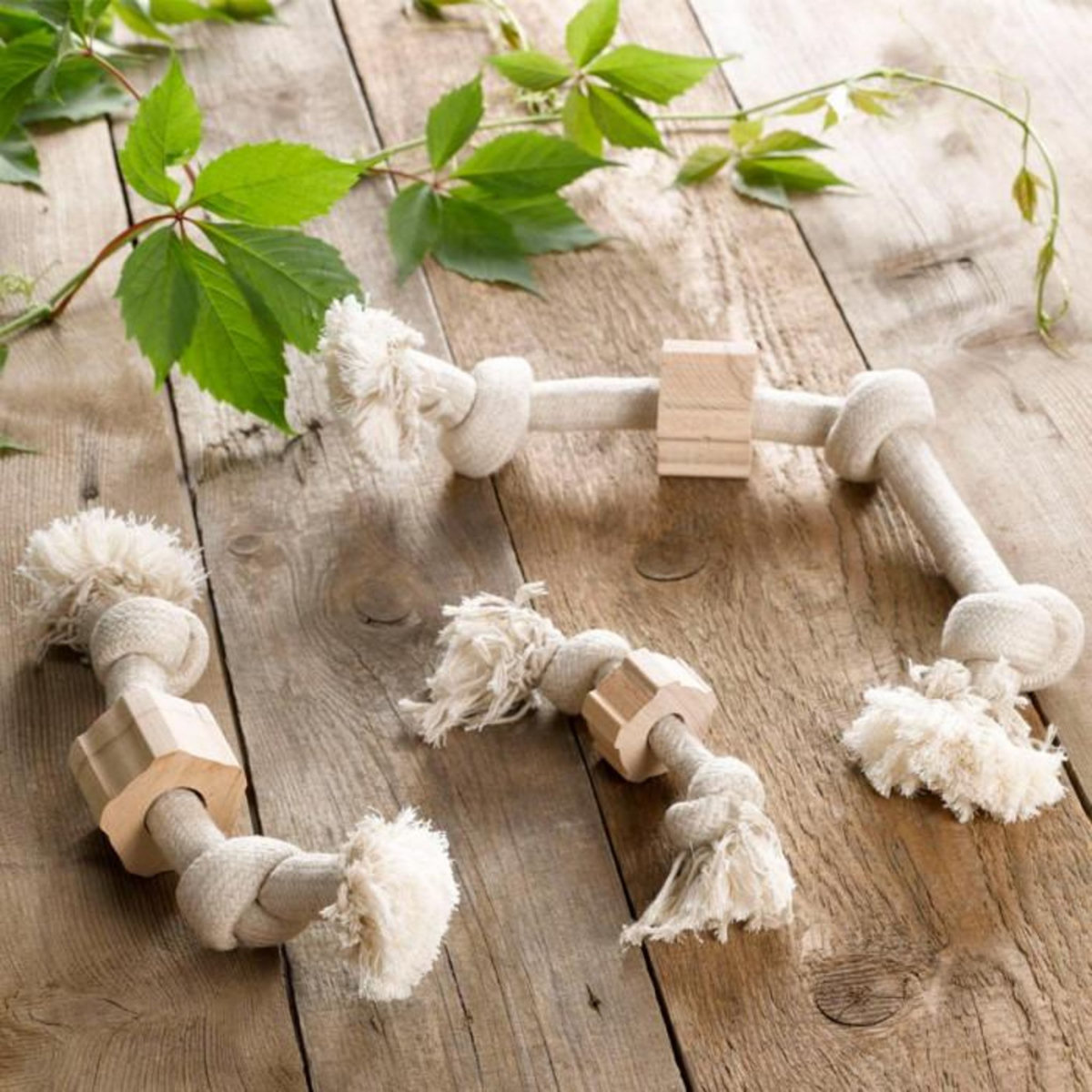 Paris Prix Jouet pour Chien  Corde 2 Nœuds  30cm Naturel