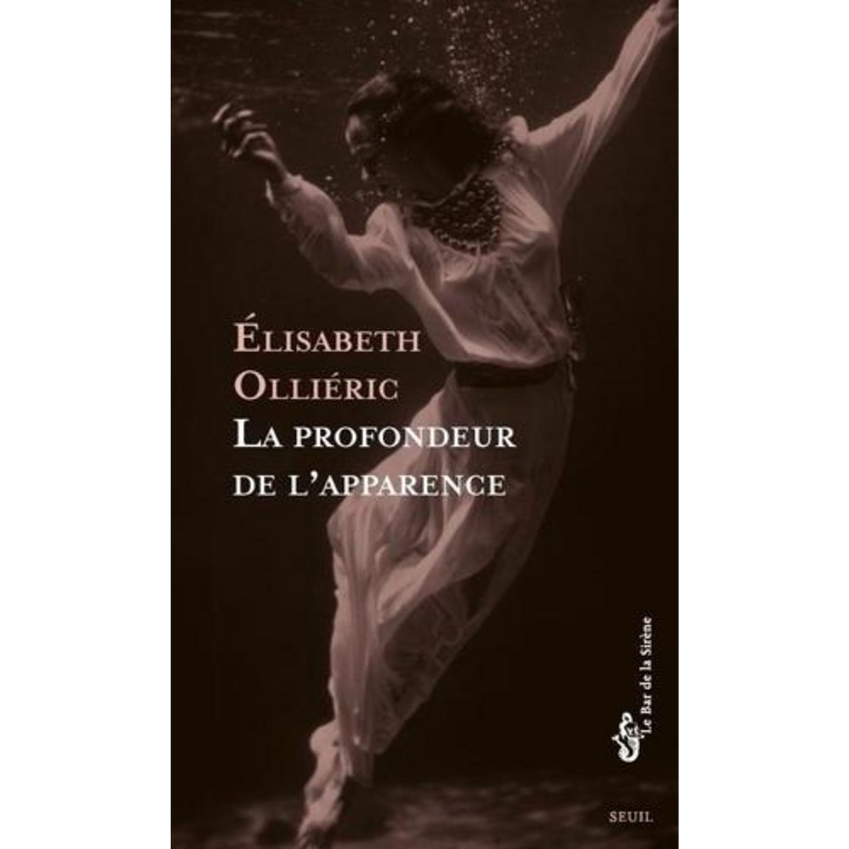 LA PROFONDEUR DE L'APPARENCE, Ollieric Elisabeth