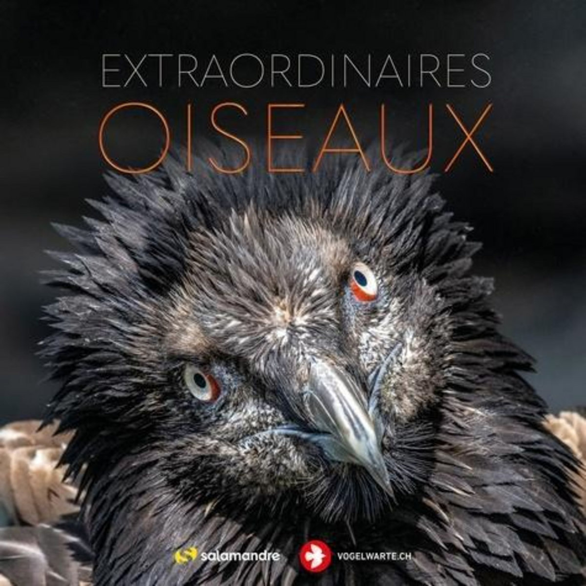 EXTRAORDINAIRES OISEAUX, Balança Erwan