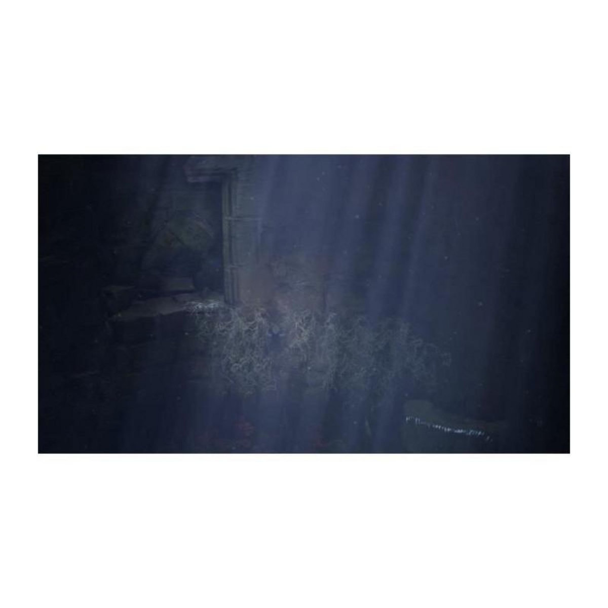 Just for games Bramble The Mountain King Jeu Nintendo Switch