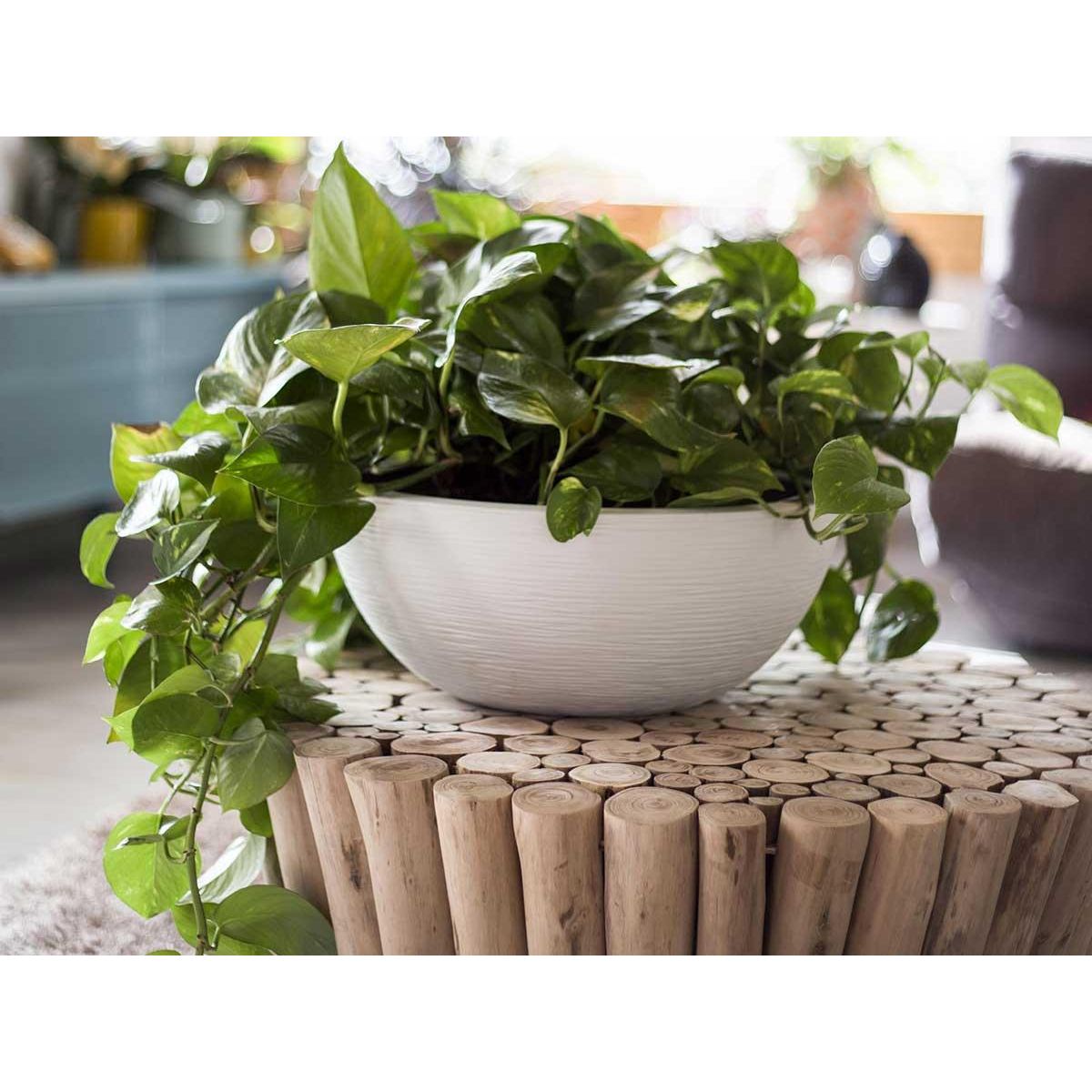 Eda Pot de fleur Vasque Graphit Blanc cérusé - Eda