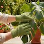 Voir la diapositive 5 : ESSCHERT DESIGN Gants anti-poussière pour plantes vertes - Esschert Design