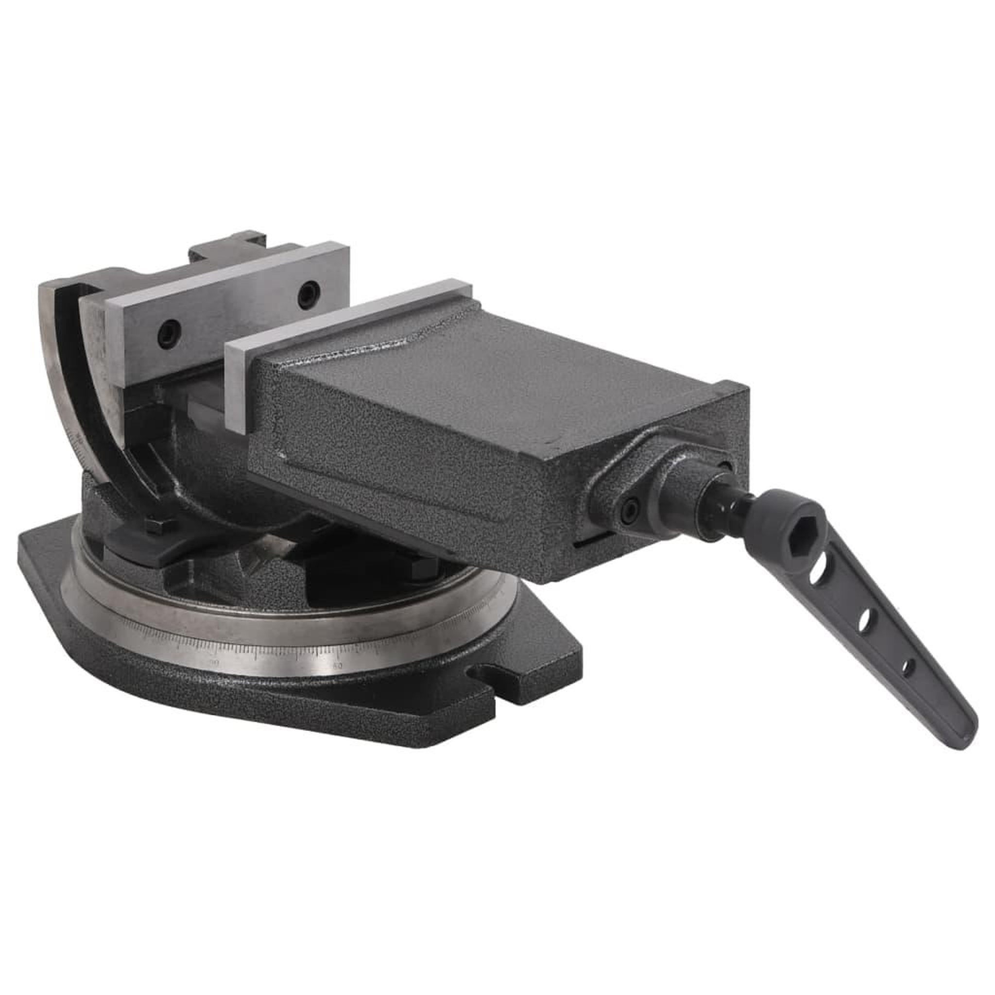 Voir la diapositive 3 : VIDAXL Etau inclinable a 2 axes 160 mm