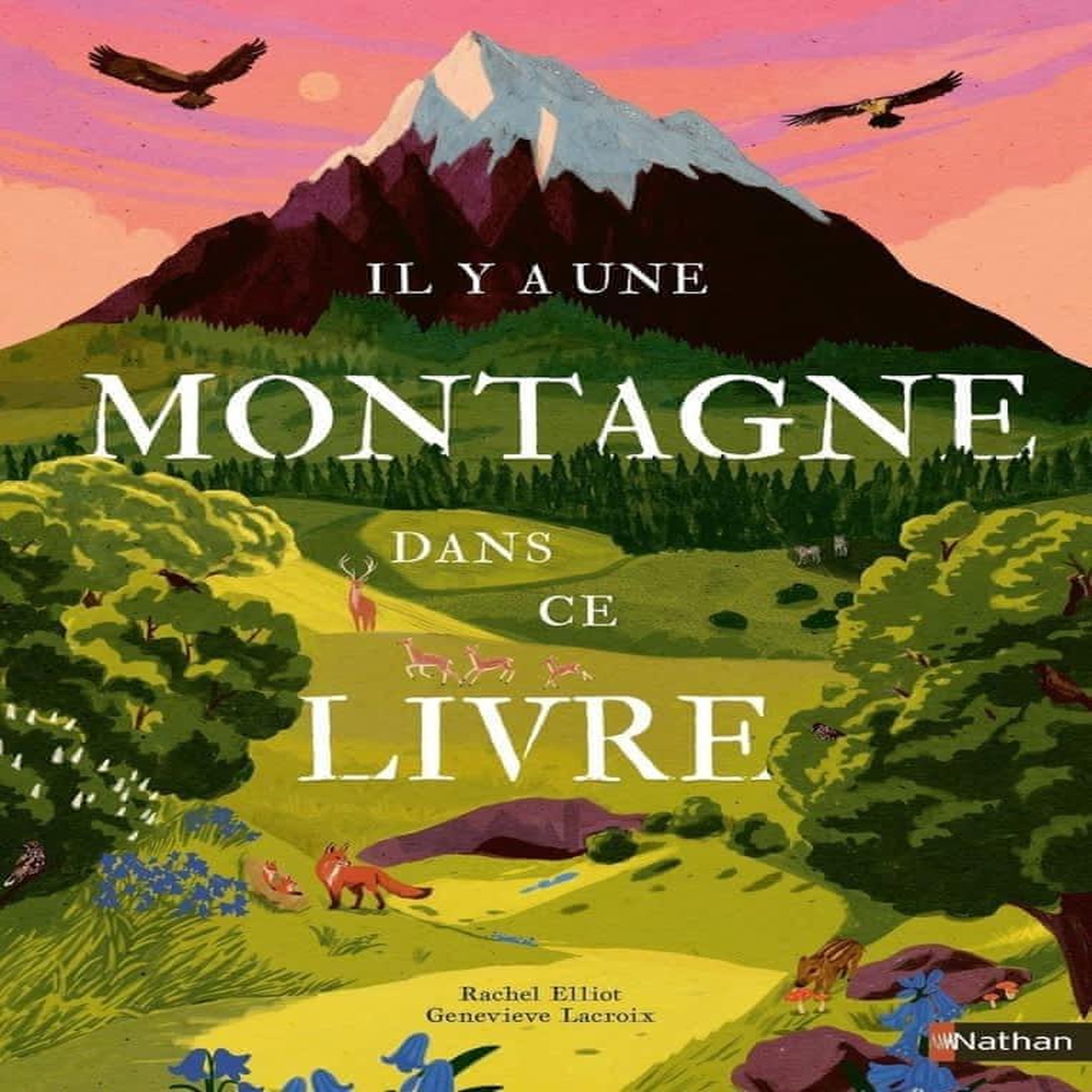 IL Y A UNE MONTAGNE DANS CE LIVRE, Elliot Rachel