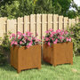 Voir la diapositive 1 : VIDAXL Jardinieres avec pieds 2 pcs Rouille 32x30x33 cm Acier corten