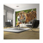 Voir la diapositive 1 : Paris Prix Papier Peint  Tigre de Sumatra