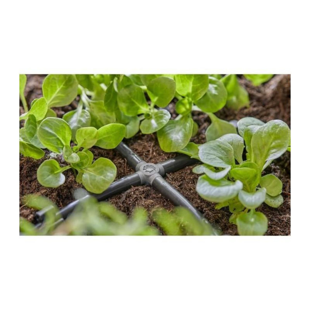 Gardena Dérivations en croix 4.6 mm - Easy & Flexible - Boîte de 10 pièces