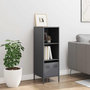 Voir la diapositive 3 : VIDAXL Buffet haut anthracite 35x39x103,5 cm acier